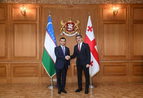 Bakhtiyor Saidov meets with the President of Georgia