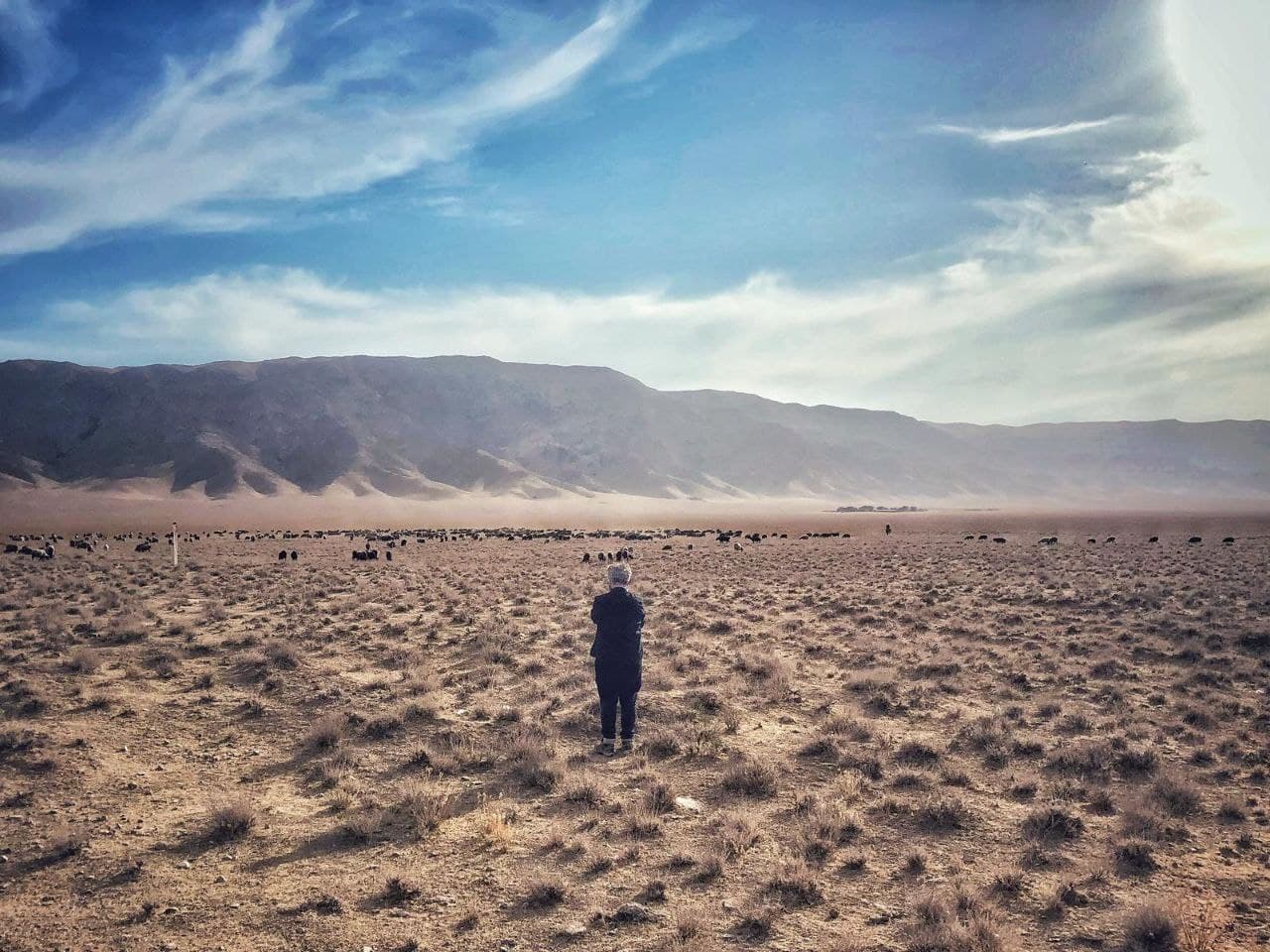 Italian TV channel “Rai 3” creative team in Uzbekistan